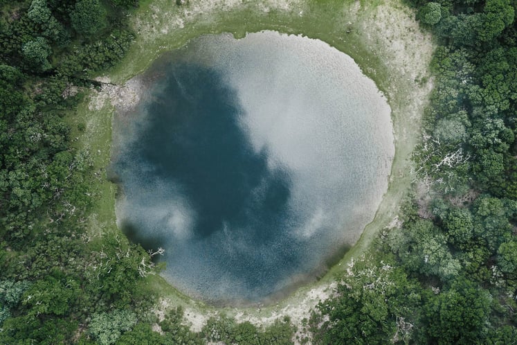 Flygvy över en rund damm omgiven av frodig grönska.